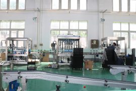 Vizualizare din fabrică